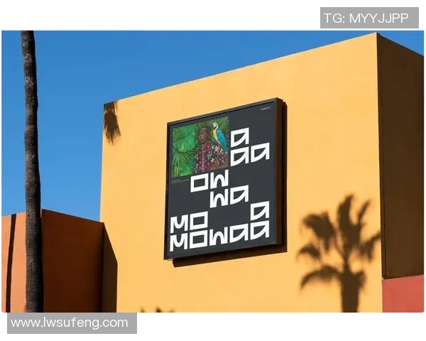 黑白画风中的足球巨星魅力展现与艺术交融之旅